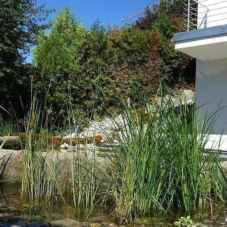 N1 Standalone House Baden Lägenhet Hertenstein Exteriör bild