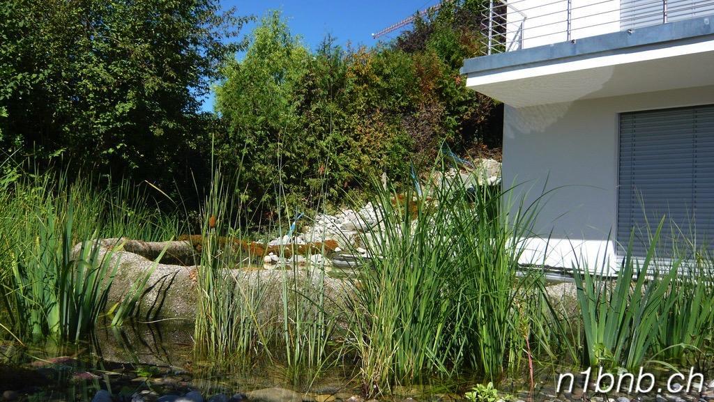 N1 Standalone House Baden Lägenhet Hertenstein Exteriör bild
