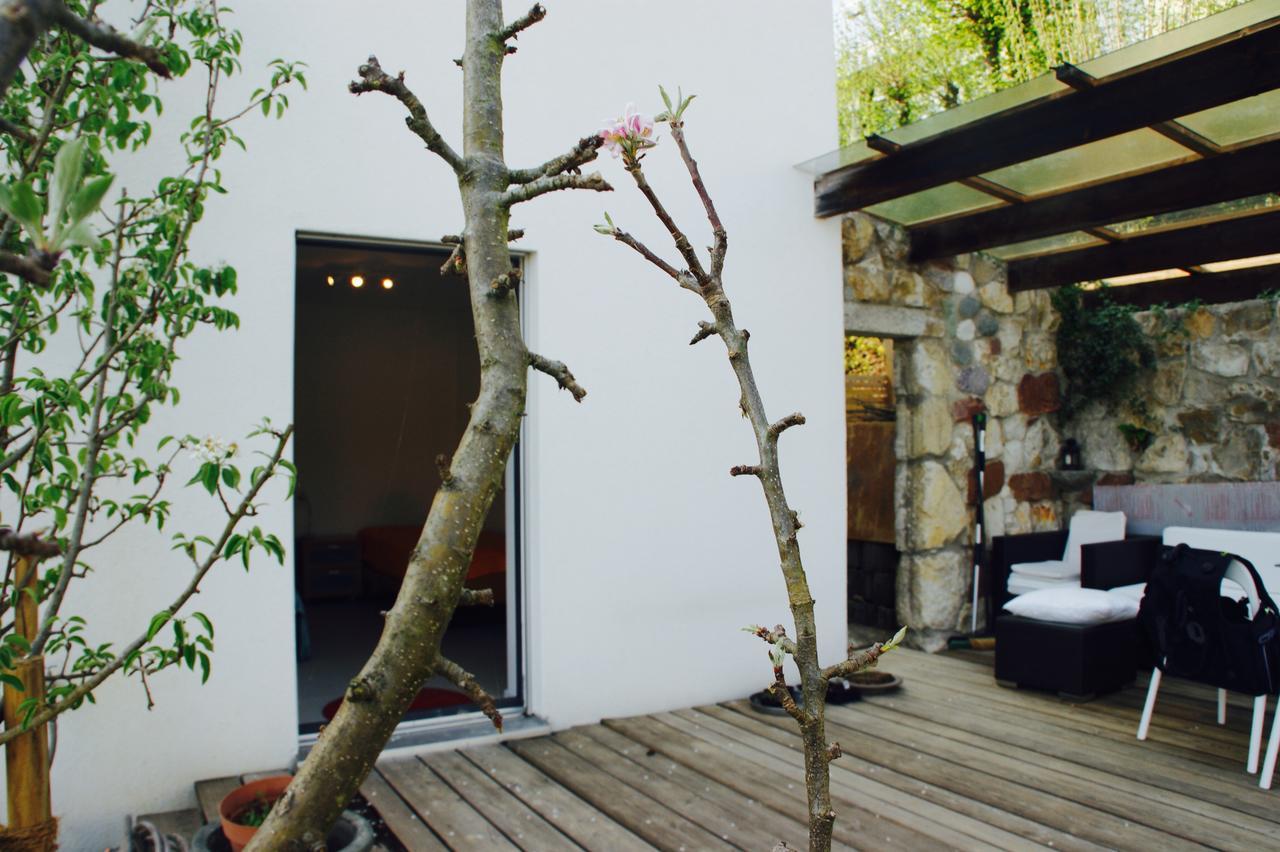 N1 Standalone House Baden Lägenhet Hertenstein Exteriör bild
